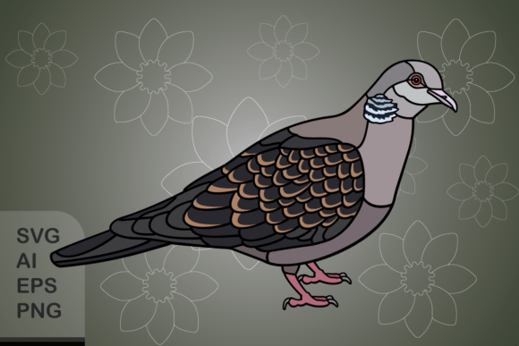 Download Oriental Turtle Dove - Premium Resources